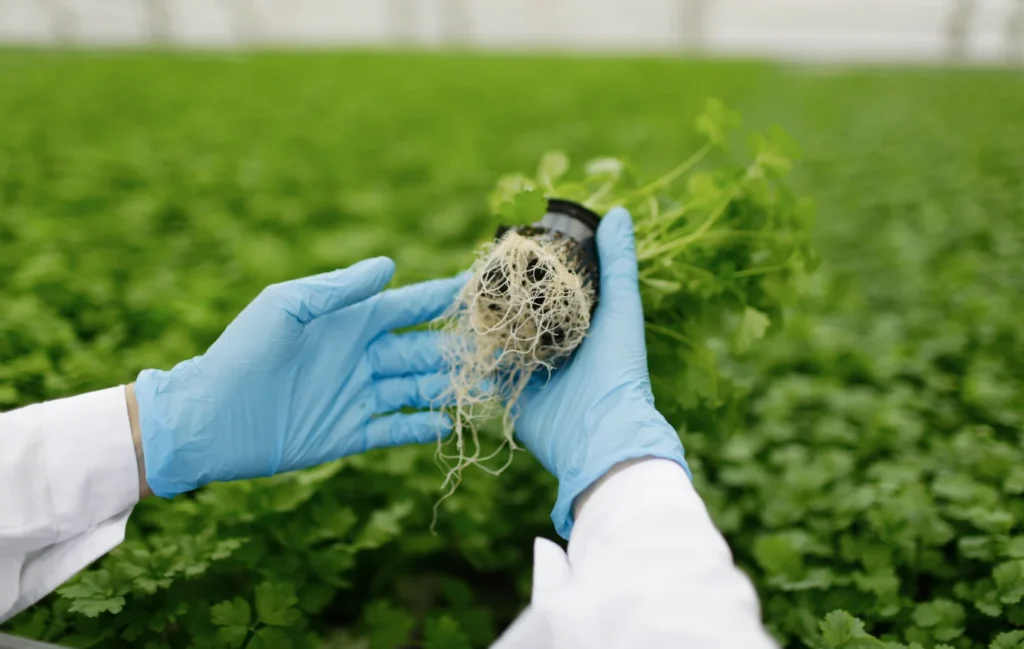 Tecnología minera al servicio de la agricultura